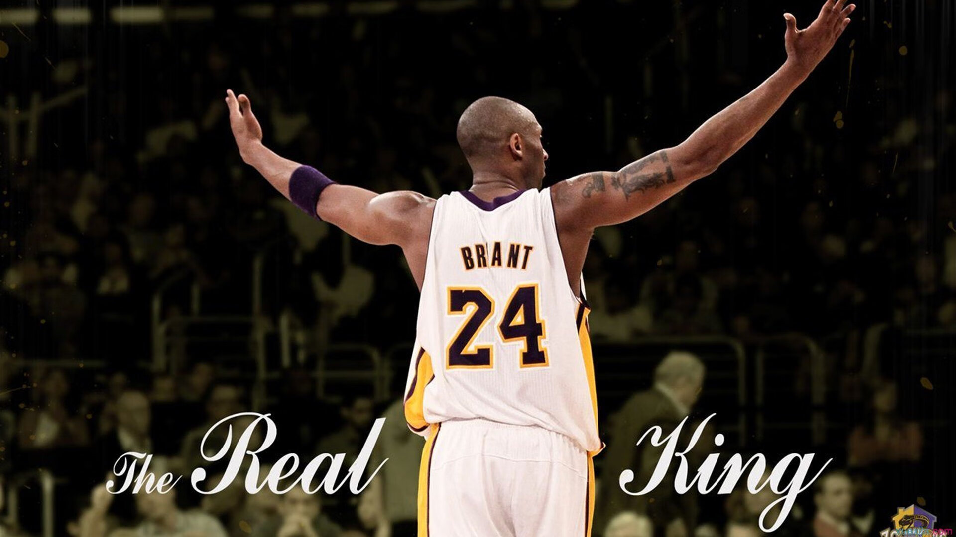 杰伦·格林用实力证明自己，热火全面压制猛龙展现团队深度